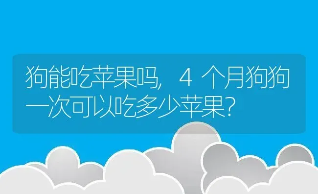 狗能吃苹果吗,4个月狗狗一次可以吃多少苹果？ | 养殖科普