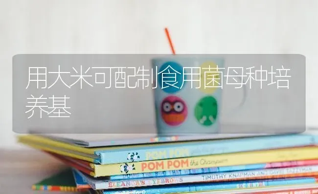 用大米可配制食用菌母种培养基 | 养殖知识