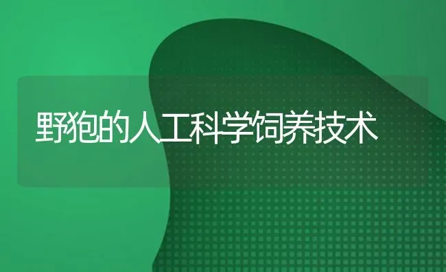 野狍的人工科学饲养技术 | 养殖技术大全