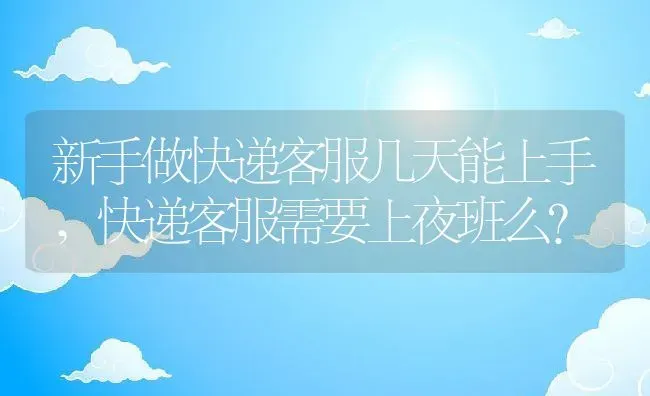 新手做快递客服几天能上手,快递客服需要上夜班么？ | 养殖科普