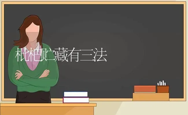 枇杷贮藏有三法 | 养殖技术大全