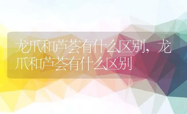 龙爪和芦荟有什么区别,龙爪和芦荟有什么区别 | 养殖科普