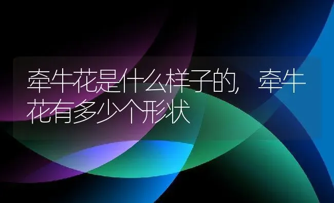 板栗可以生吃吗,板栗自带糖分的吗？为什么生的吃起来甜甜的呢 | 养殖学堂