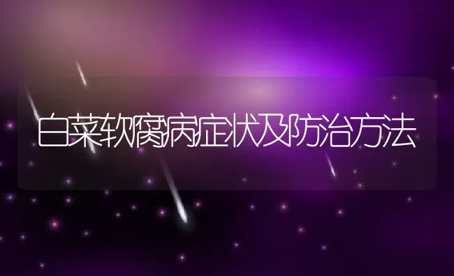 白菜软腐病症状及防治方法 | 养殖学堂