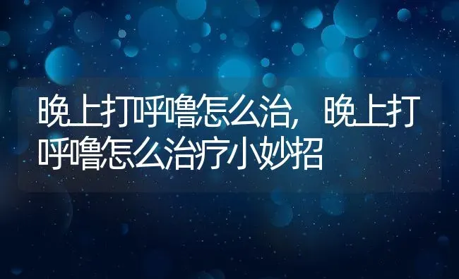 晚上打呼噜怎么治,晚上打呼噜怎么治疗小妙招 | 养殖科普