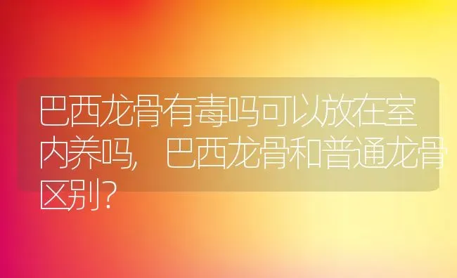 巴西龙骨有毒吗可以放在室内养吗,巴西龙骨和普通龙骨区别？ | 养殖科普