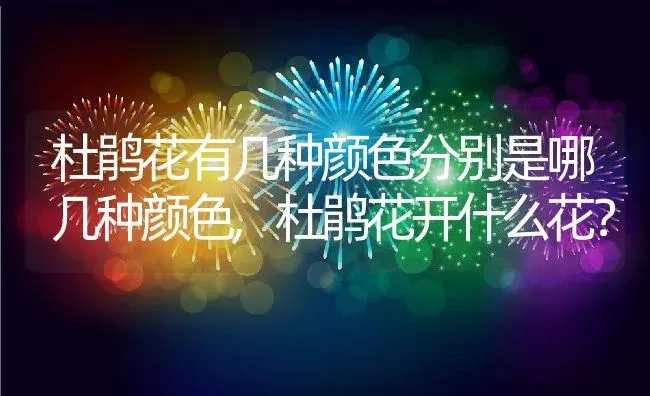 杜鹃花有几种颜色分别是哪几种颜色,杜鹃花开什么花？ | 养殖科普