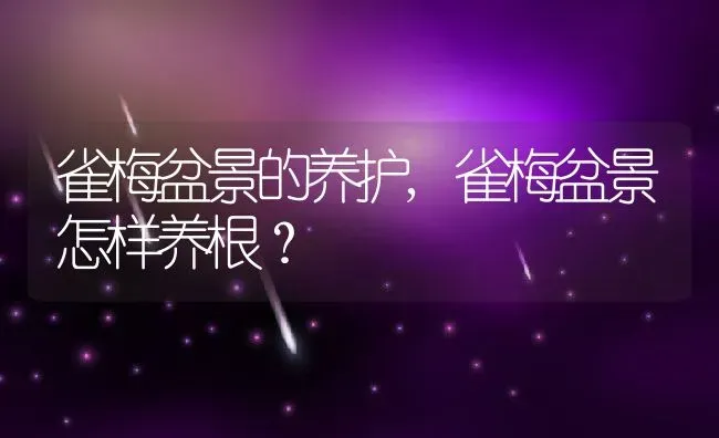 雀梅盆景的养护,雀梅盆景怎样养根？ | 养殖科普