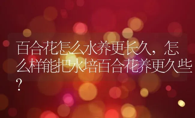 百合花怎么水养更长久,怎么样能把水培百合花养更久些？ | 养殖学堂