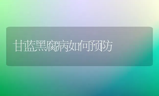 甘蓝黑腐病如何预防 | 养殖技术大全