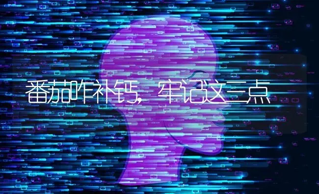 番茄咋补钙,牢记这三点 | 养殖技术大全