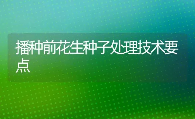 播种前花生种子处理技术要点 | 养殖知识