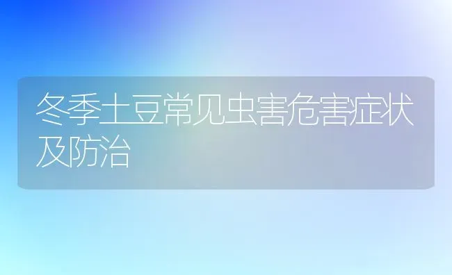 冬季土豆常见虫害危害症状及防治 | 养殖技术大全