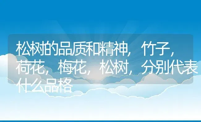 松树的品质和精神,竹子，荷花，梅花，松树，分别代表什么品格 | 养殖学堂