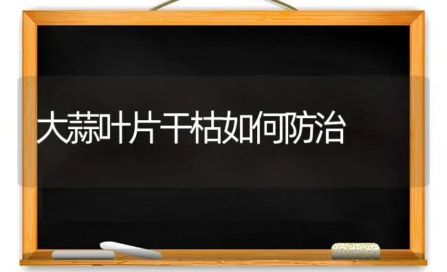 大蒜叶片干枯如何防治 | 养殖技术大全