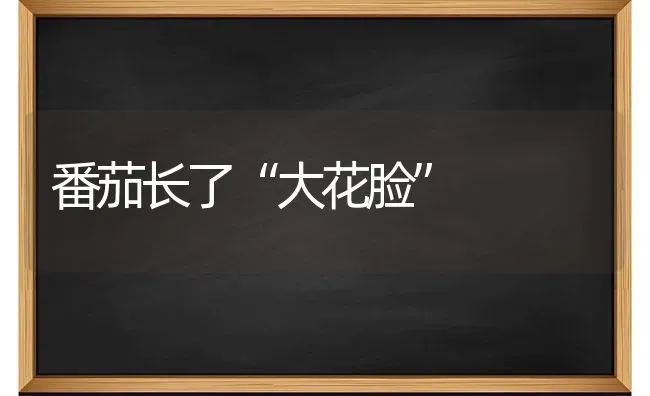 番茄长了“大花脸” | 养殖技术大全