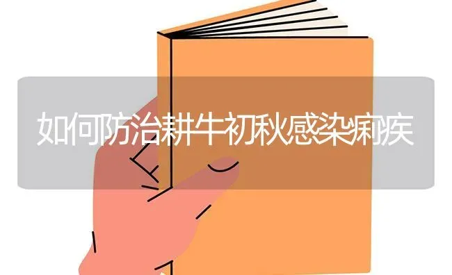 如何防治耕牛初秋感染痢疾 | 养殖知识