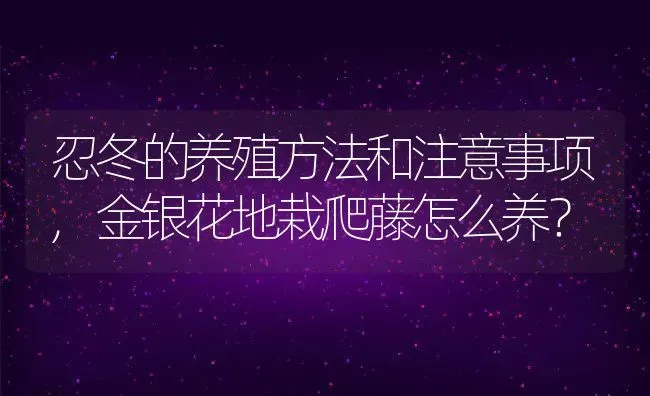 忍冬的养殖方法和注意事项,金银花地栽爬藤怎么养？ | 养殖科普