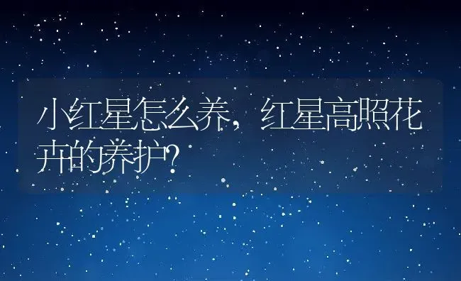 小红星怎么养,红星高照花卉的养护？ | 养殖科普