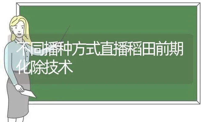 不同播种方式直播稻田前期化除技术 | 养殖知识