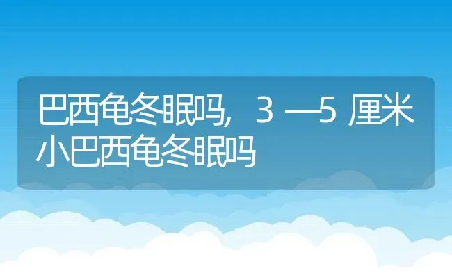 巴西龟冬眠吗,3―5厘米小巴西龟冬眠吗 | 养殖资料