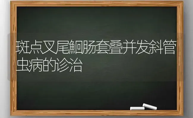 斑点叉尾鮰肠套叠并发斜管虫病的诊治 | 养殖知识