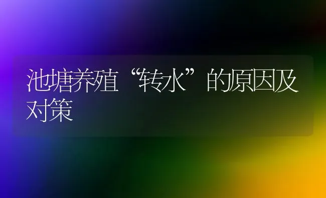 池塘养殖“转水”的原因及对策 | 养殖知识