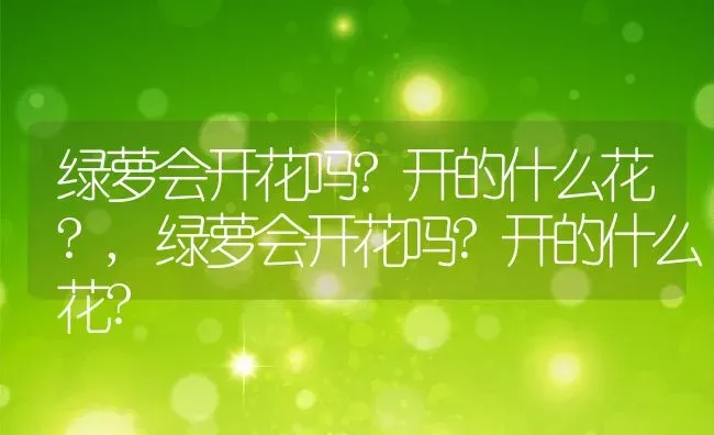 绿萝会开花吗?开的什么花?,绿萝会开花吗?开的什么花? | 养殖科普