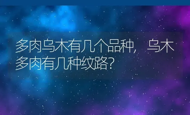 多肉乌木有几个品种,乌木多肉有几种纹路？ | 养殖科普