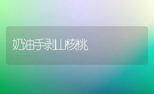 奶油手剥山核桃 | 养殖知识