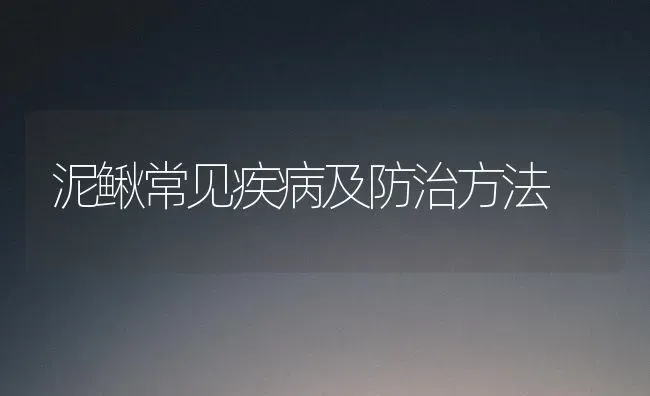 泥鳅常见疾病及防治方法 | 养殖知识