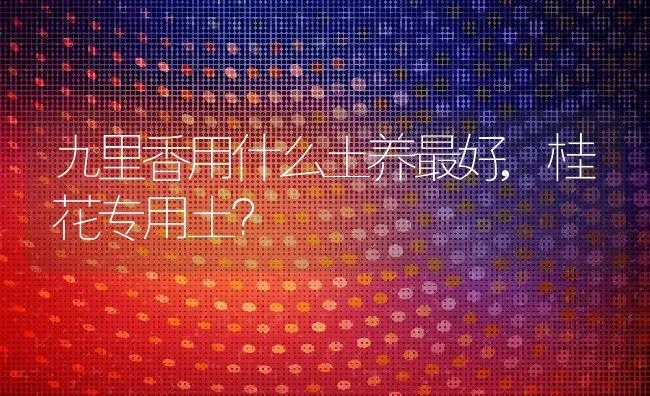 九里香用什么土养最好,桂花专用土？ | 养殖学堂
