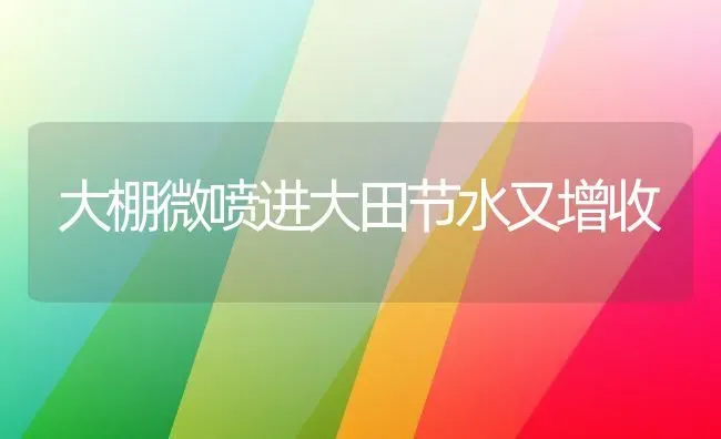 大棚微喷进大田节水又增收 | 养殖知识