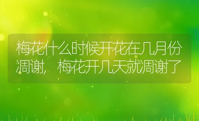 梅花什么时候开花在几月份凋谢,梅花开几天就凋谢了 | 养殖学堂