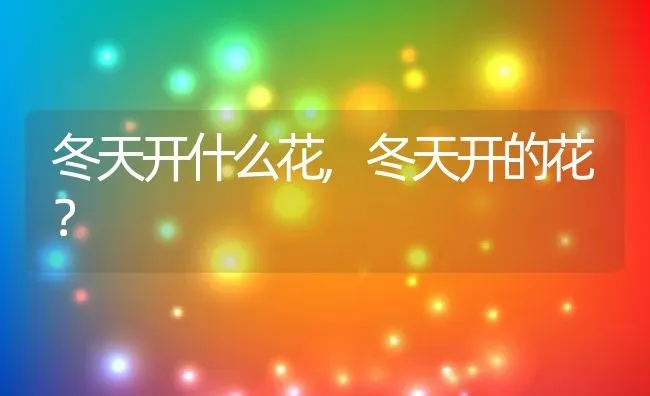 冬天开什么花,冬天开的花？ | 养殖科普