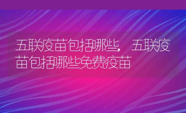 五联疫苗包括哪些,五联疫苗包括哪些免费疫苗 | 养殖科普