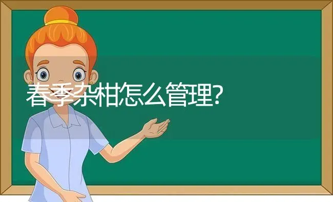 春季杂柑怎么管理? | 养殖技术大全