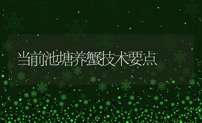 当前池塘养蟹技术要点 | 养殖知识