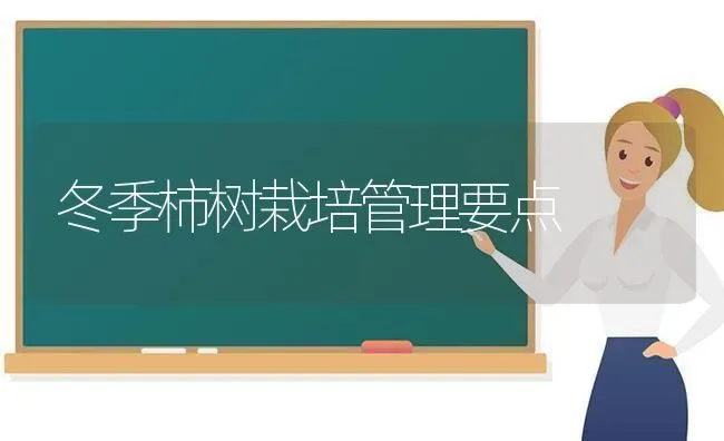 冬季柿树栽培管理要点 | 养殖知识