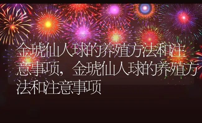 金琥仙人球的养殖方法和注意事项,金琥仙人球的养殖方法和注意事项 | 养殖科普