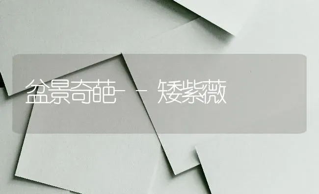 皖麦38 | 养殖技术大全