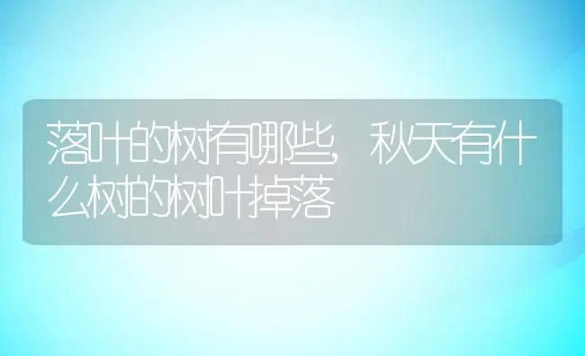 落叶的树有哪些,秋天有什么树的树叶掉落 | 养殖学堂
