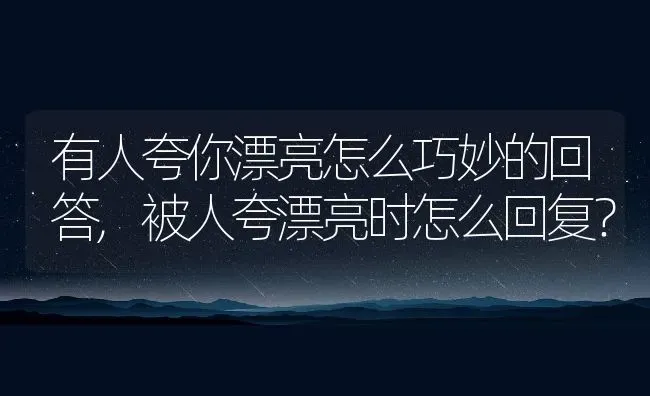 有人夸你漂亮怎么巧妙的回答,被人夸漂亮时怎么回复？ | 养殖科普