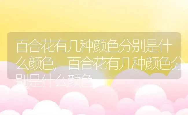 百合花有几种颜色分别是什么颜色,百合花有几种颜色分别是什么颜色 | 养殖科普