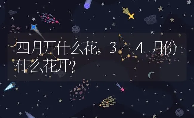 四月开什么花,3-4月份什么花开？ | 养殖科普