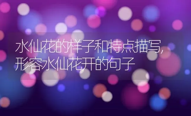 水仙花的样子和特点描写,形容水仙花开的句子 | 养殖学堂