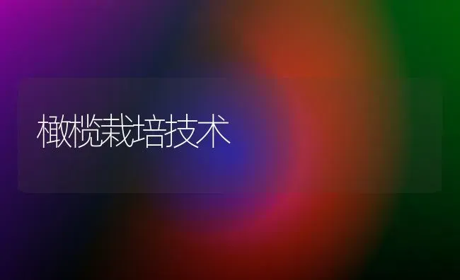 橄榄栽培技术 | 养殖知识