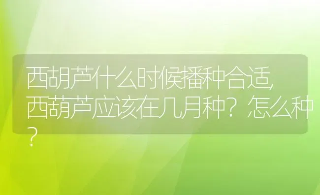 西胡芦什么时候播种合适,西葫芦应该在几月种？怎么种？ | 养殖科普