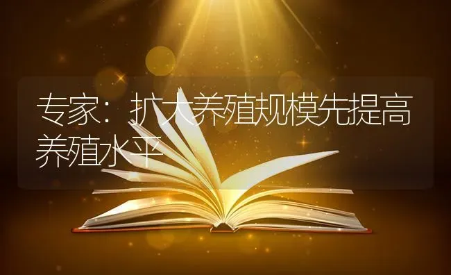 专家：扩大养殖规模先提高养殖水平 | 养殖知识