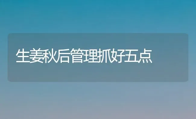 生姜秋后管理抓好五点 | 养殖知识